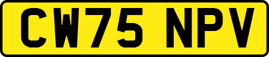 CW75NPV