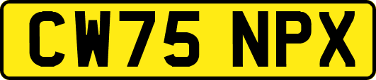CW75NPX