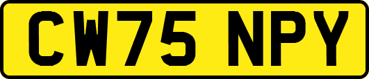 CW75NPY