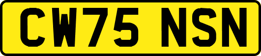 CW75NSN