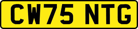 CW75NTG