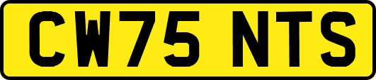 CW75NTS