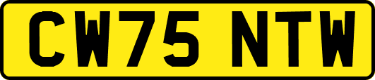 CW75NTW