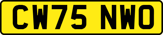 CW75NWO
