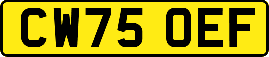 CW75OEF