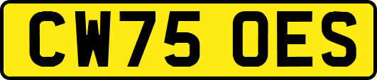 CW75OES