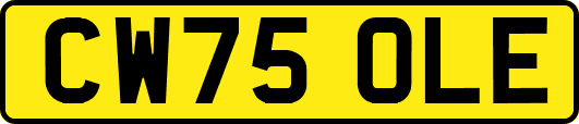 CW75OLE