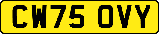 CW75OVY