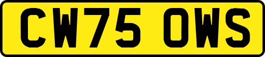 CW75OWS