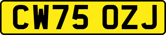 CW75OZJ
