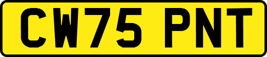 CW75PNT