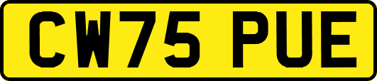CW75PUE