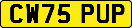 CW75PUP