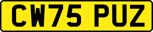 CW75PUZ