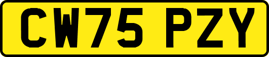 CW75PZY