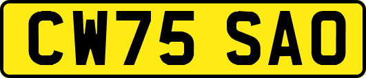 CW75SAO