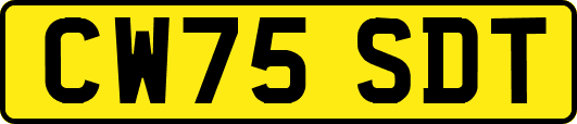 CW75SDT