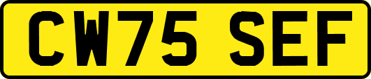 CW75SEF