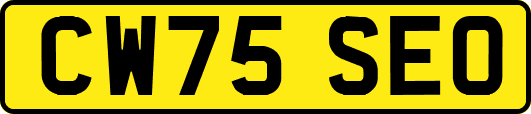 CW75SEO