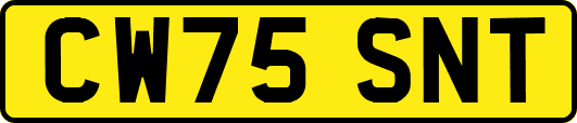CW75SNT