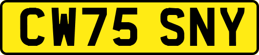 CW75SNY