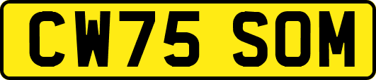 CW75SOM
