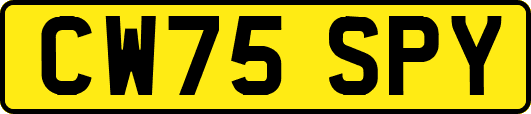 CW75SPY