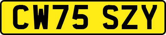 CW75SZY