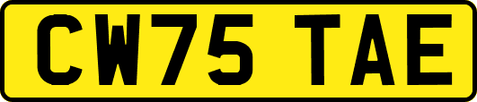 CW75TAE