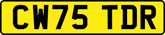 CW75TDR