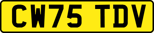 CW75TDV