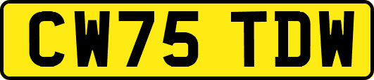 CW75TDW