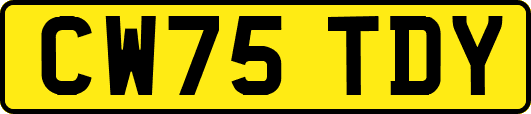 CW75TDY