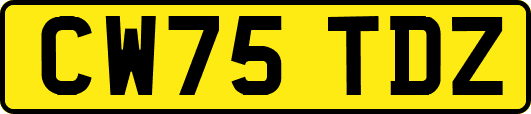 CW75TDZ