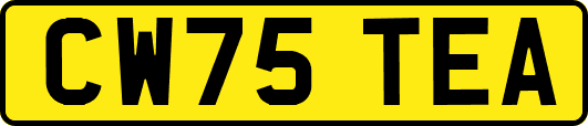 CW75TEA