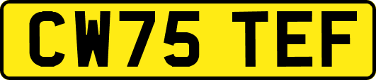 CW75TEF