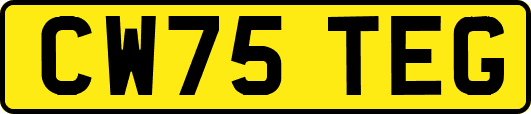 CW75TEG