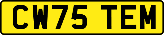 CW75TEM