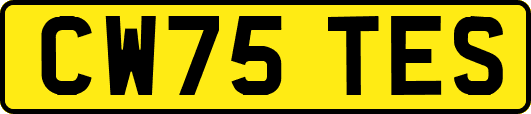 CW75TES