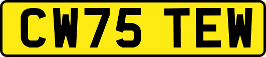 CW75TEW