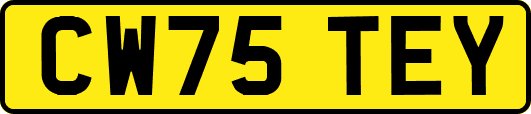 CW75TEY