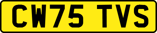CW75TVS