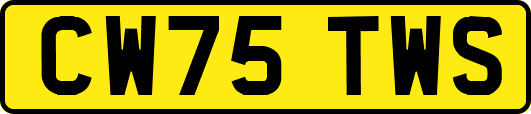 CW75TWS