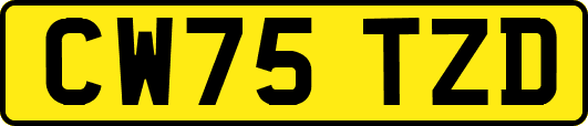 CW75TZD