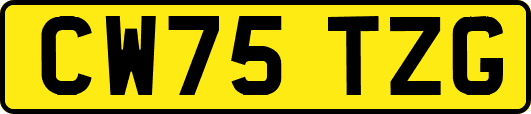 CW75TZG