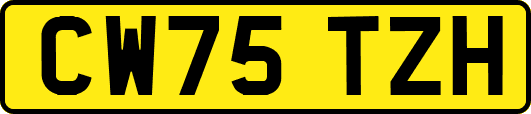 CW75TZH