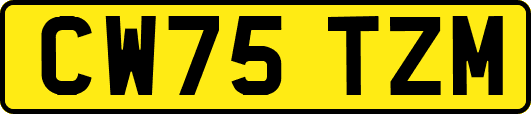 CW75TZM