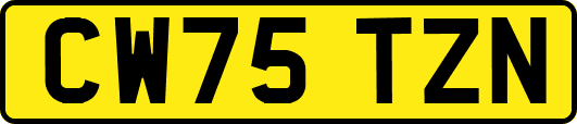 CW75TZN