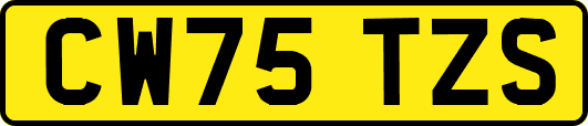 CW75TZS