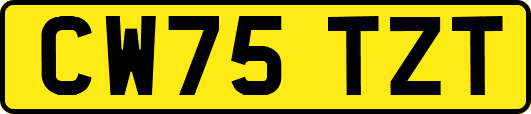 CW75TZT